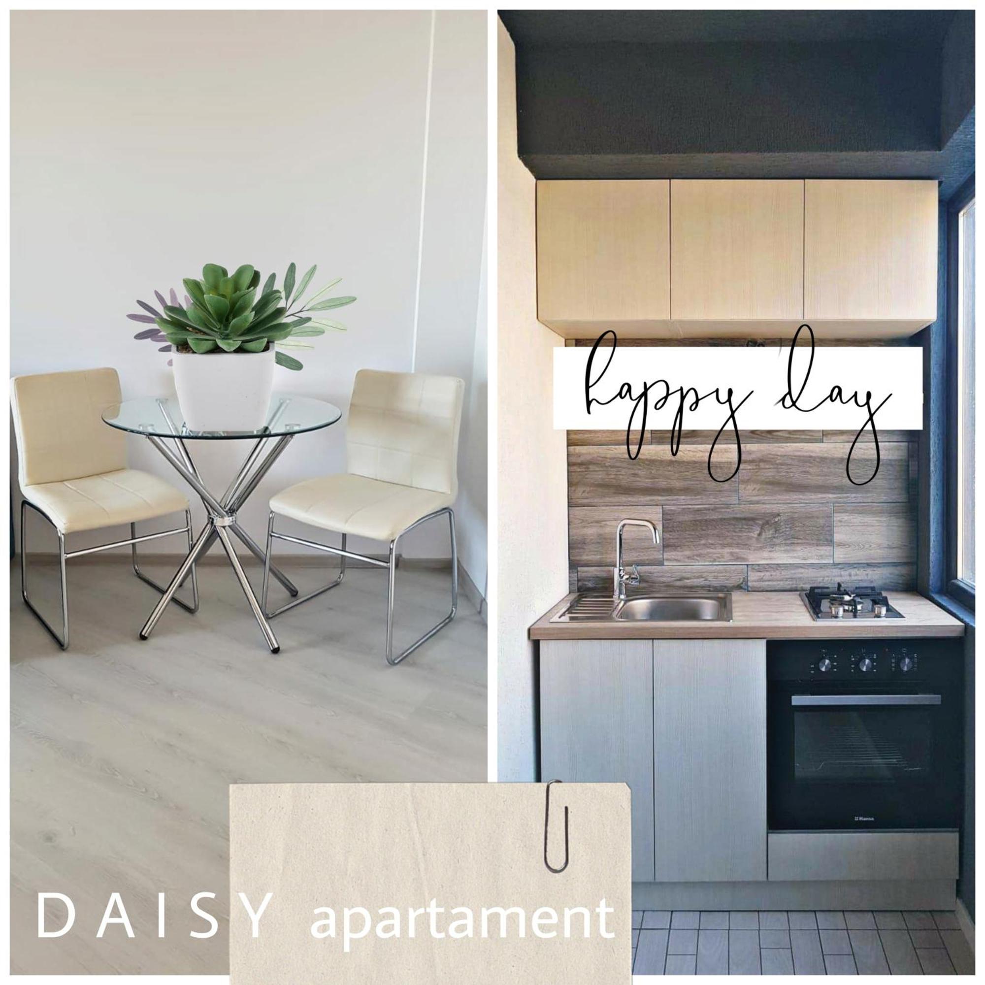 Năvodari Daisy Apartament מראה חיצוני תמונה
