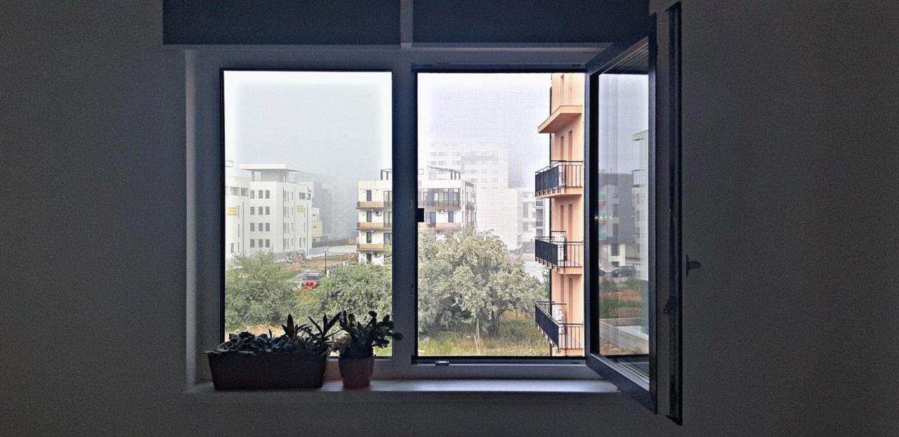 Năvodari Daisy Apartament מראה חיצוני תמונה